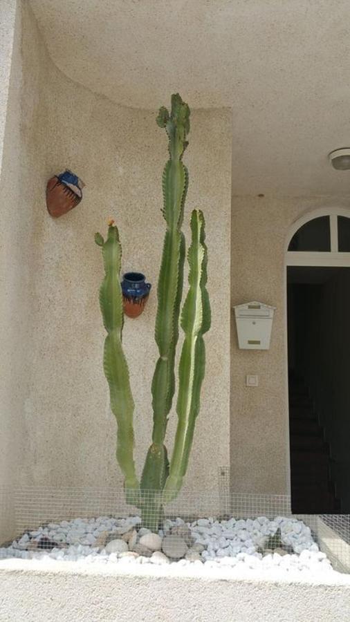 아쿠아아마르가 Casa El Algarrobico 빌라 외부 사진