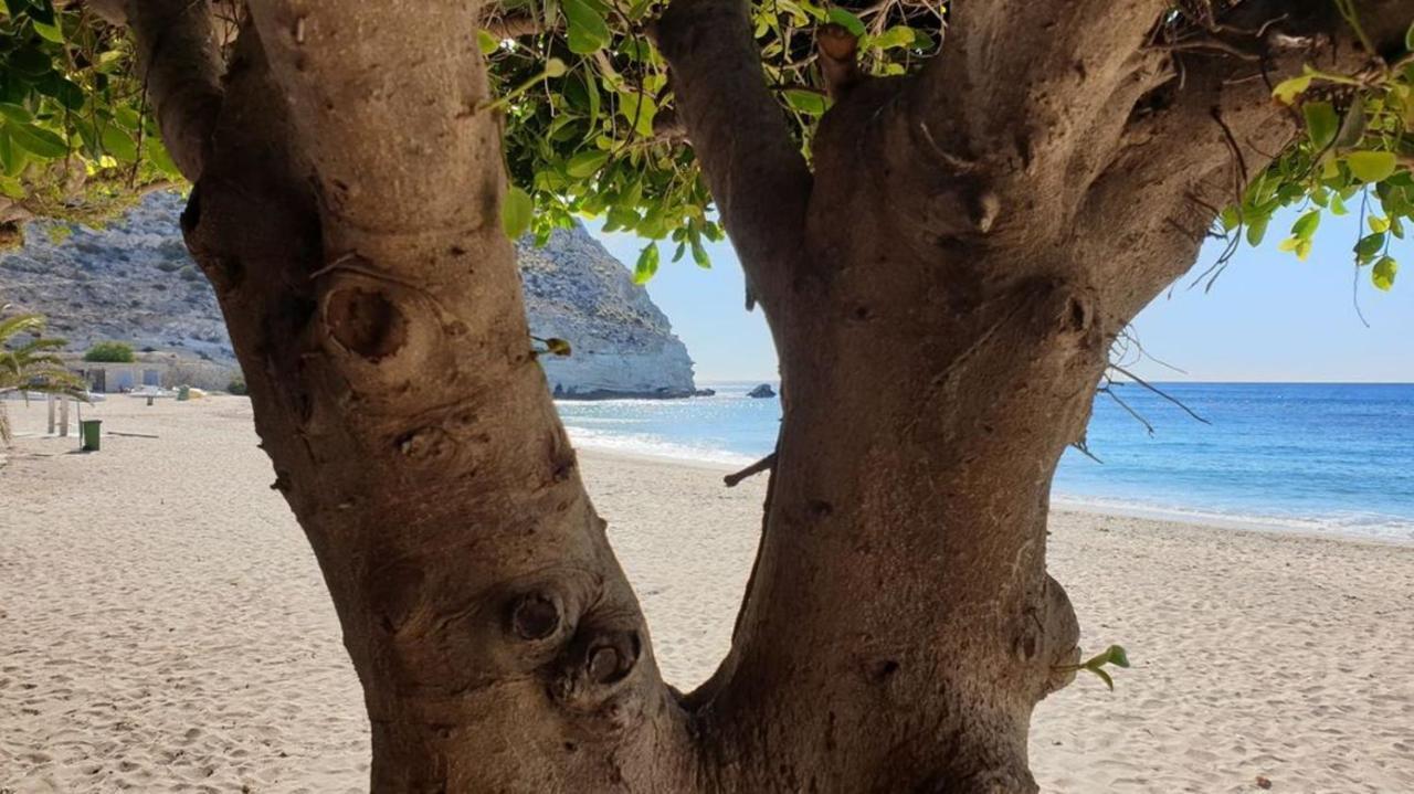 아쿠아아마르가 Casa El Algarrobico 빌라 외부 사진